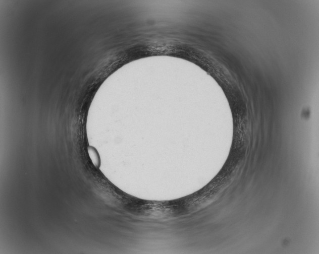 X0000116880601201001191745