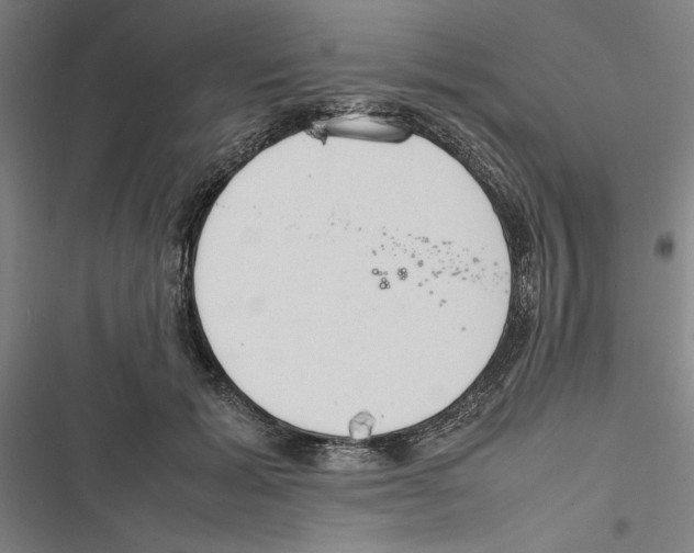 X0000116880605201001191745