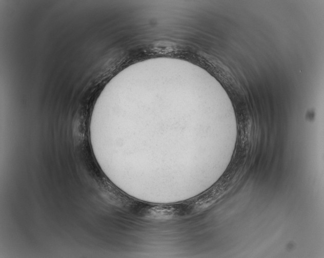 X0000116880606201001191745