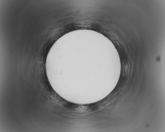 X0000116880609201001191745