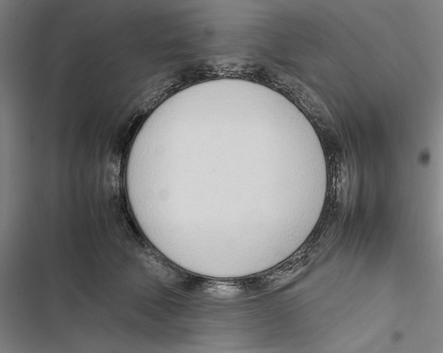 X0000116880610201001191745