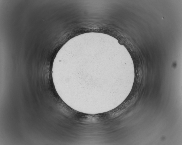 X0000116880612201001191745