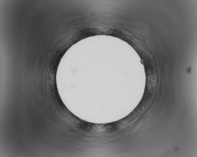 X0000116880613201001191745