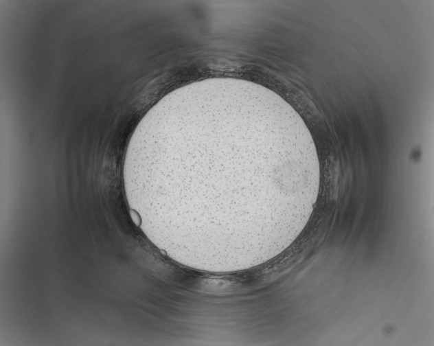 X0000116880614201001191745