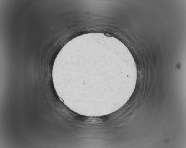 X0000116880617201001191745