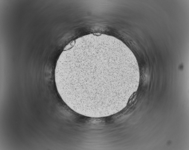 X0000116880619201001191745