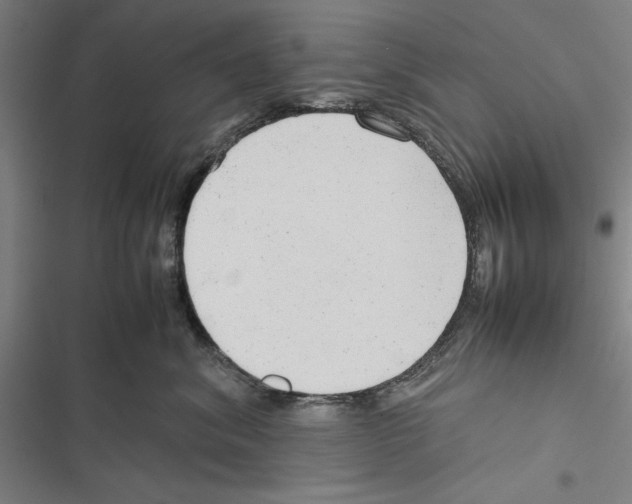 X0000116880620201001191745
