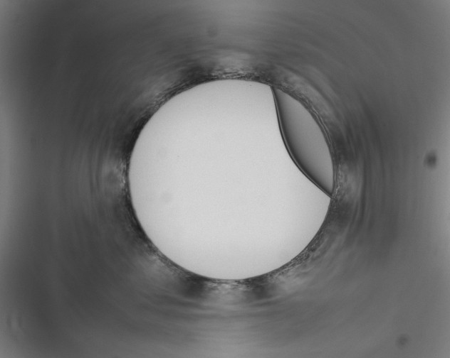 X0000116880621201001191745