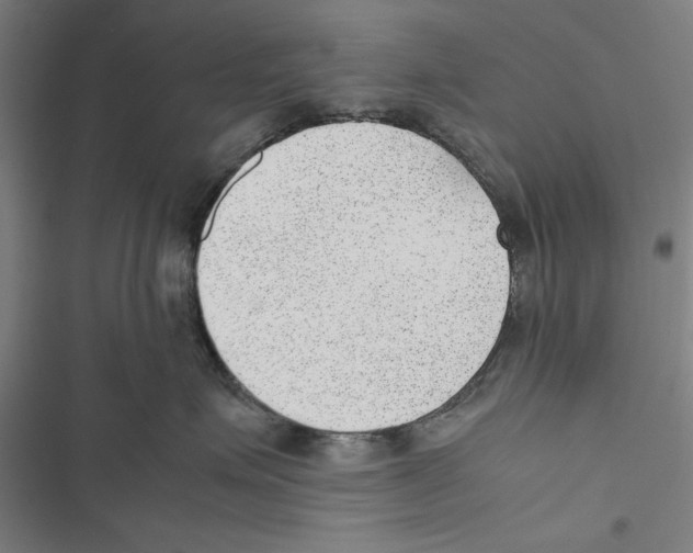 X0000116880623201001191745