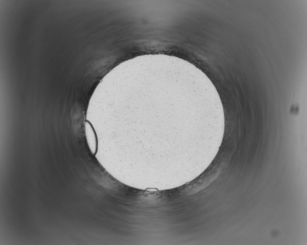 X0000116880624201001191745