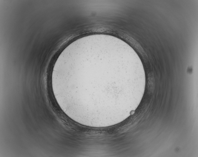 X0000116880626201001191744