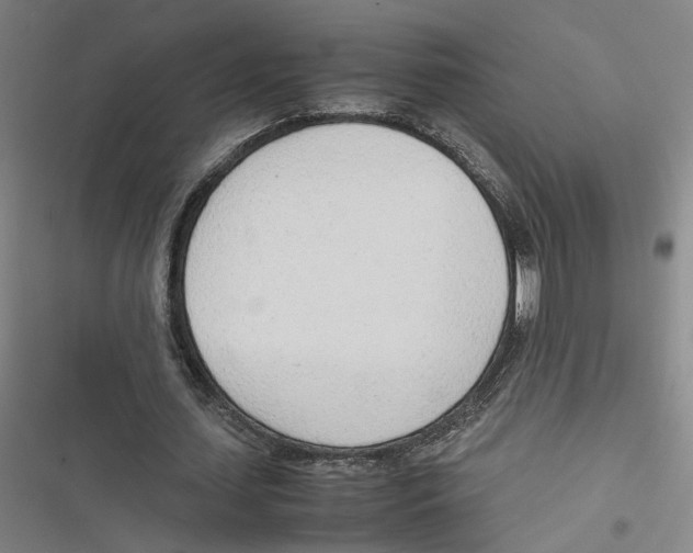 X0000116880627201001191744