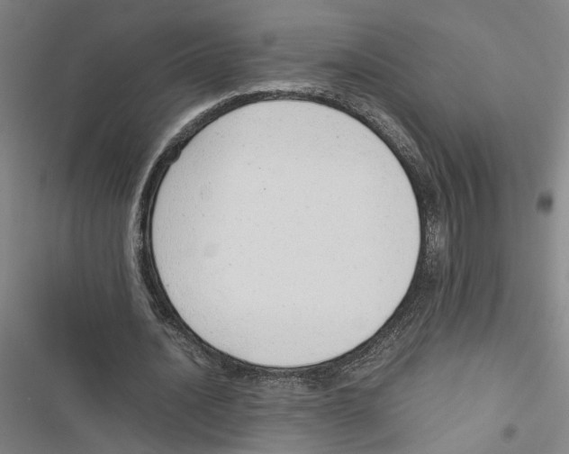X0000116880628201001191744