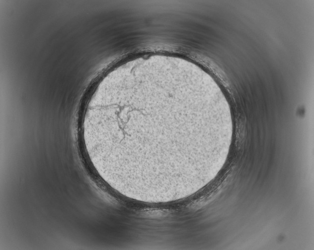 X0000116880629201001191744
