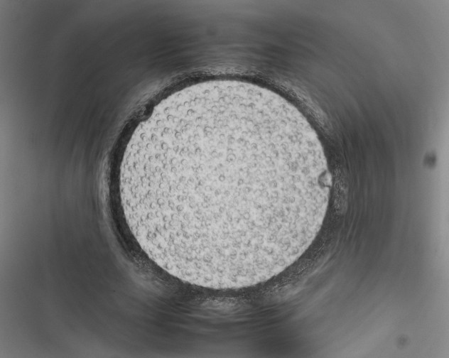 X0000116880631201001191744