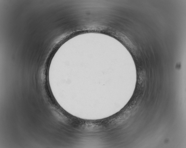 X0000116880632201001191744