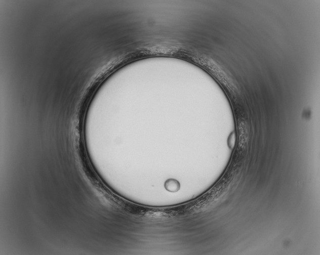 X0000116880634201001191744