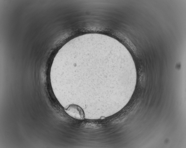 X0000116880635201001191744