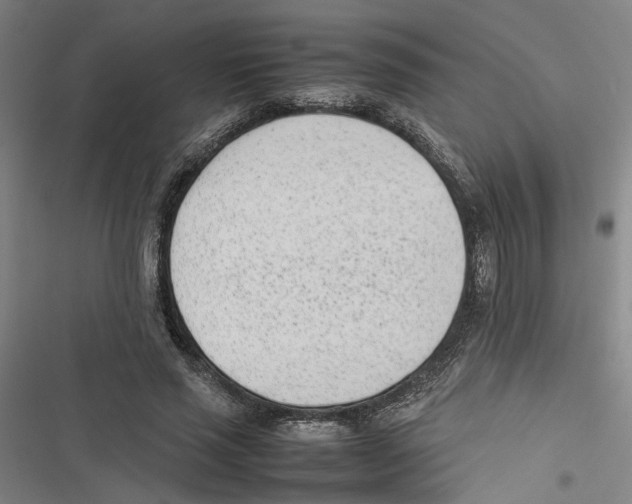 X0000116880637201001191745