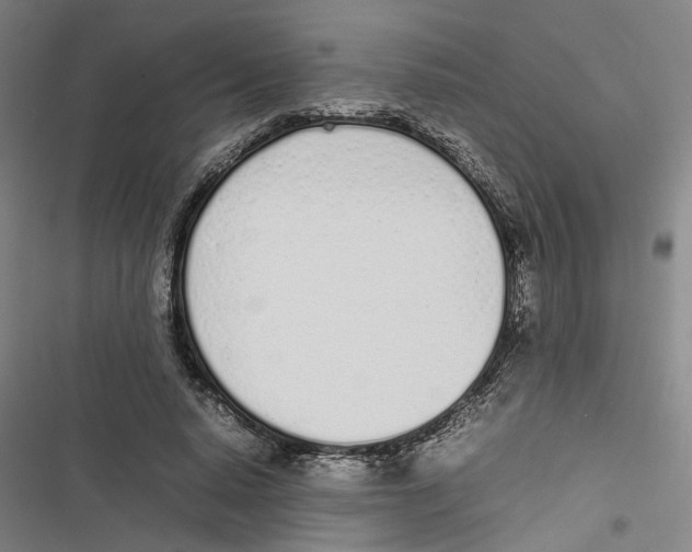 X0000116880640201001191745