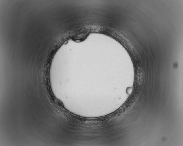 X0000116880641201001191745