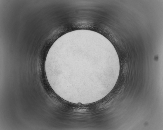 X0000116880643201001191745
