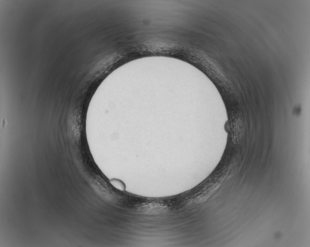 X0000116880644201001191745