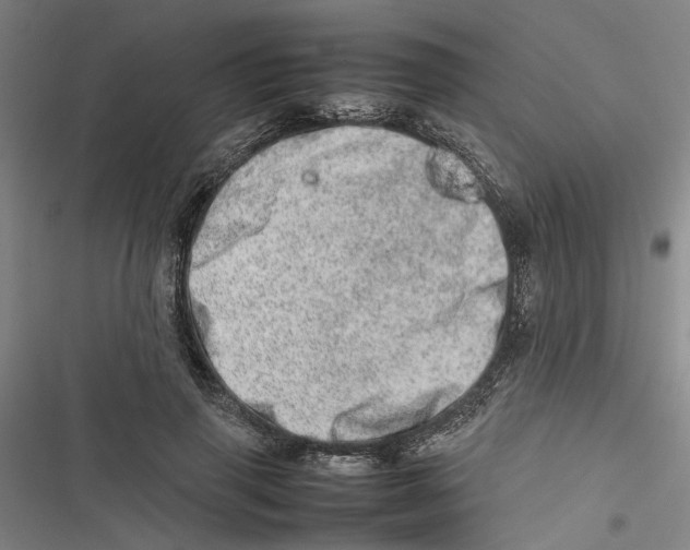 X0000116880645201001191745