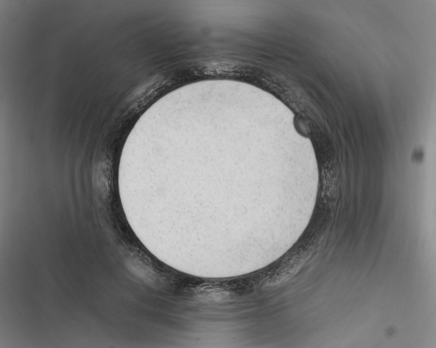 X0000116880648201001191745