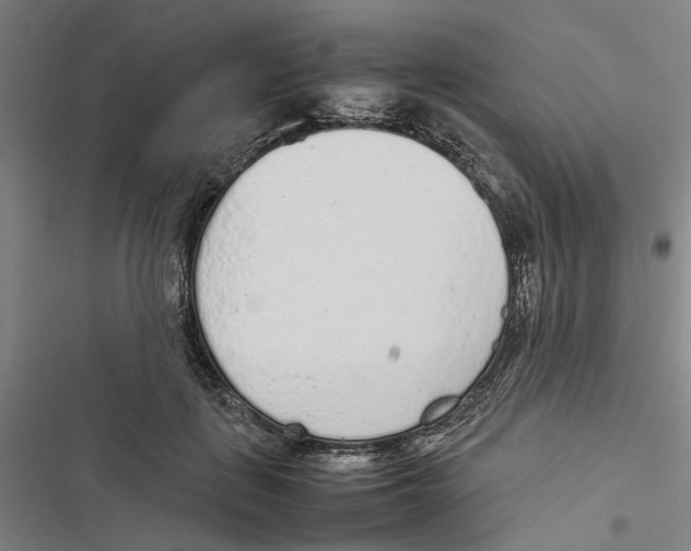 X0000116880651201001191745