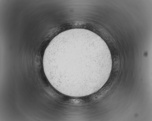 X0000116880654201001191745