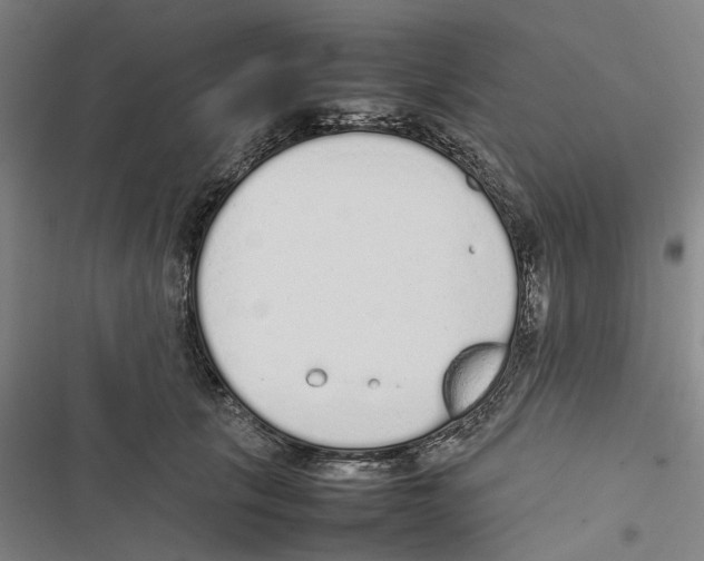 X0000116880657201001191745