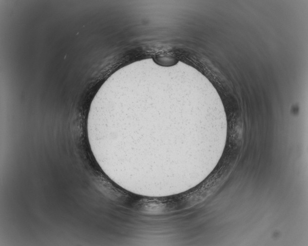 X0000116880658201001191745