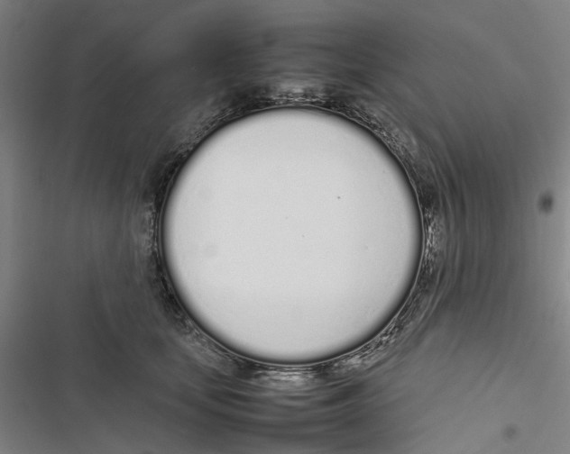 X0000116880659201001191745