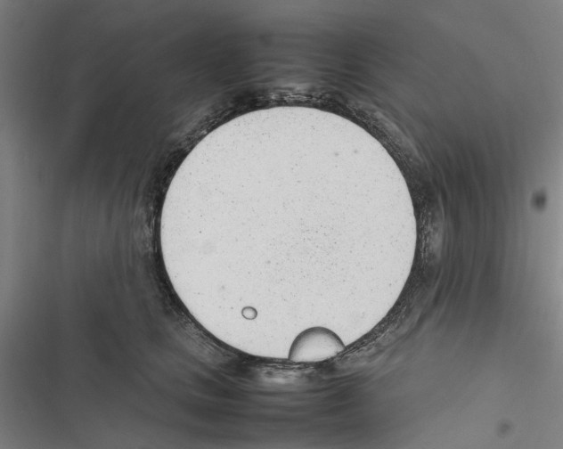 X0000116880661201001191745