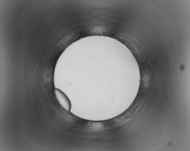 X0000116880665201001191745