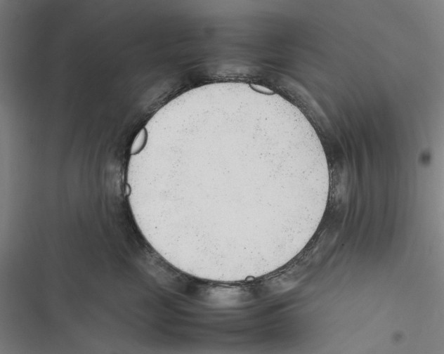 X0000116880669201001191745