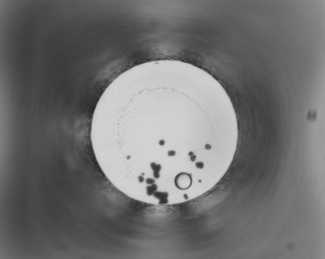 X0000116880672201001191745