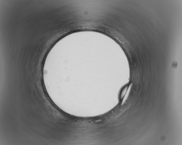 X0000116880673201001191744