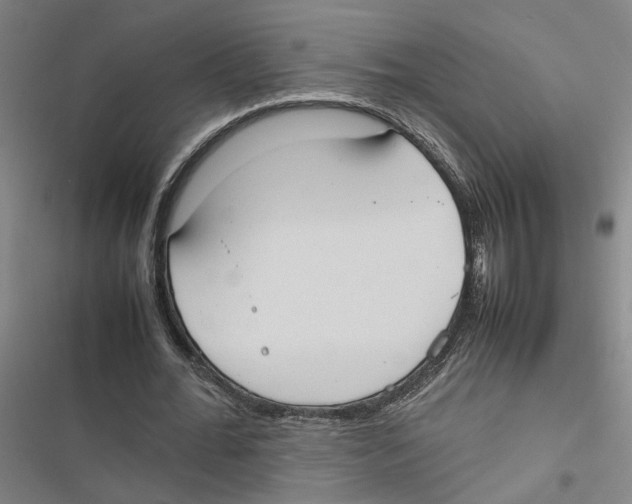 X0000116880676201001191744
