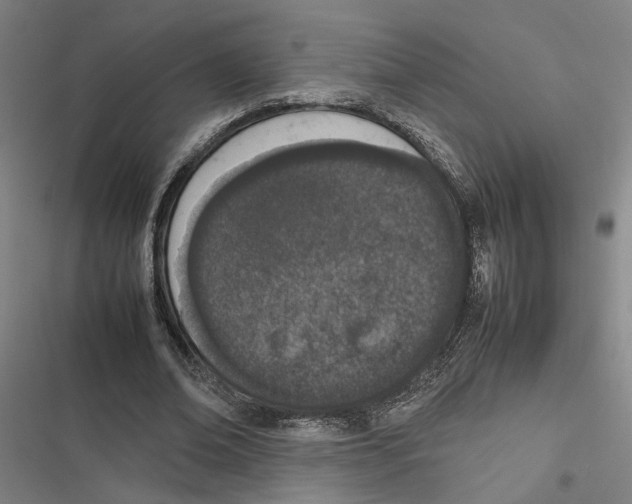X0000116880678201001191744