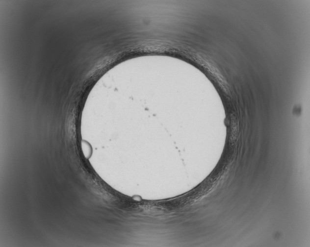 X0000116880681201001191744