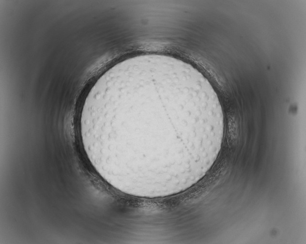 X0000116880682201001191744