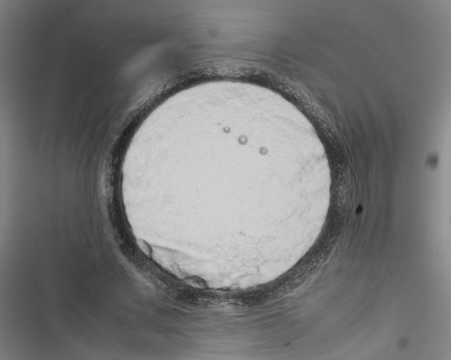X0000116880683201001191744