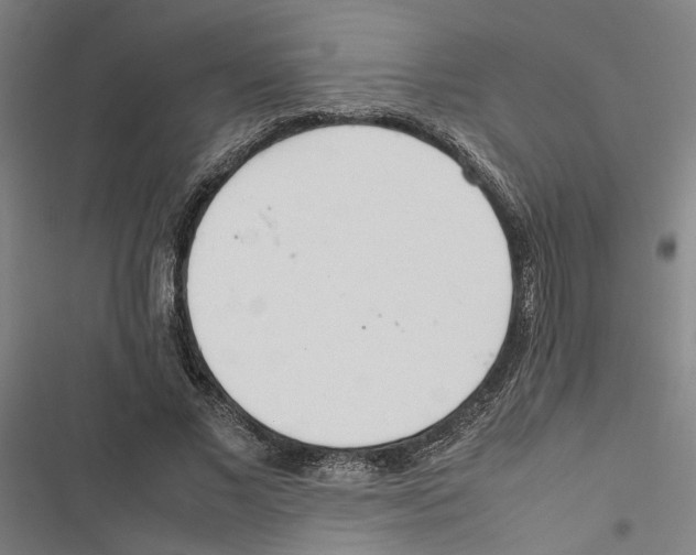 X0000116880685201001191744