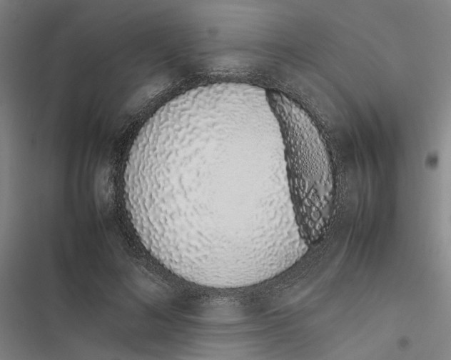 X0000116880692201001191744