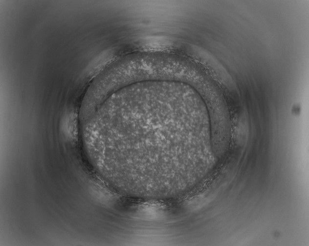 X0000116880696201001191744
