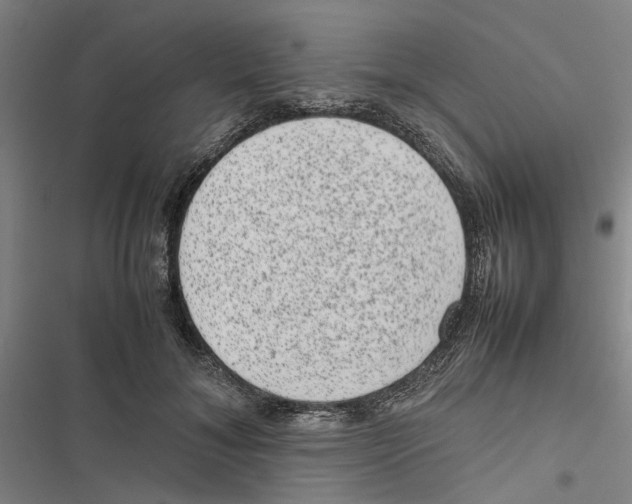 X0000116880700201001191744