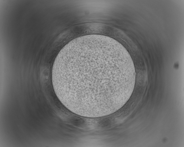 X0000116880701201001191744