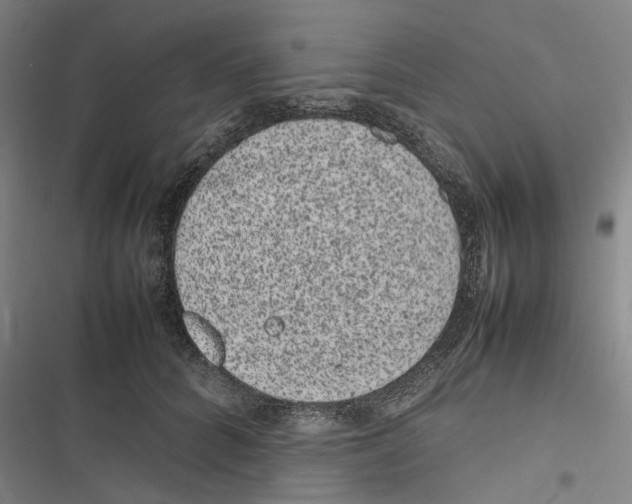 X0000116880704201001191744